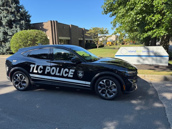 TLC Car_1 (website)